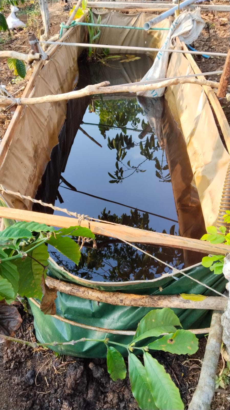 Pemasangan pompa dan instalasi sprinkler di kebun kopi Temanggung